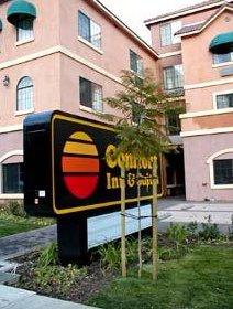 Comfort Inn & Suites - Hollywood