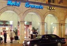 Melia Hotel Granada
